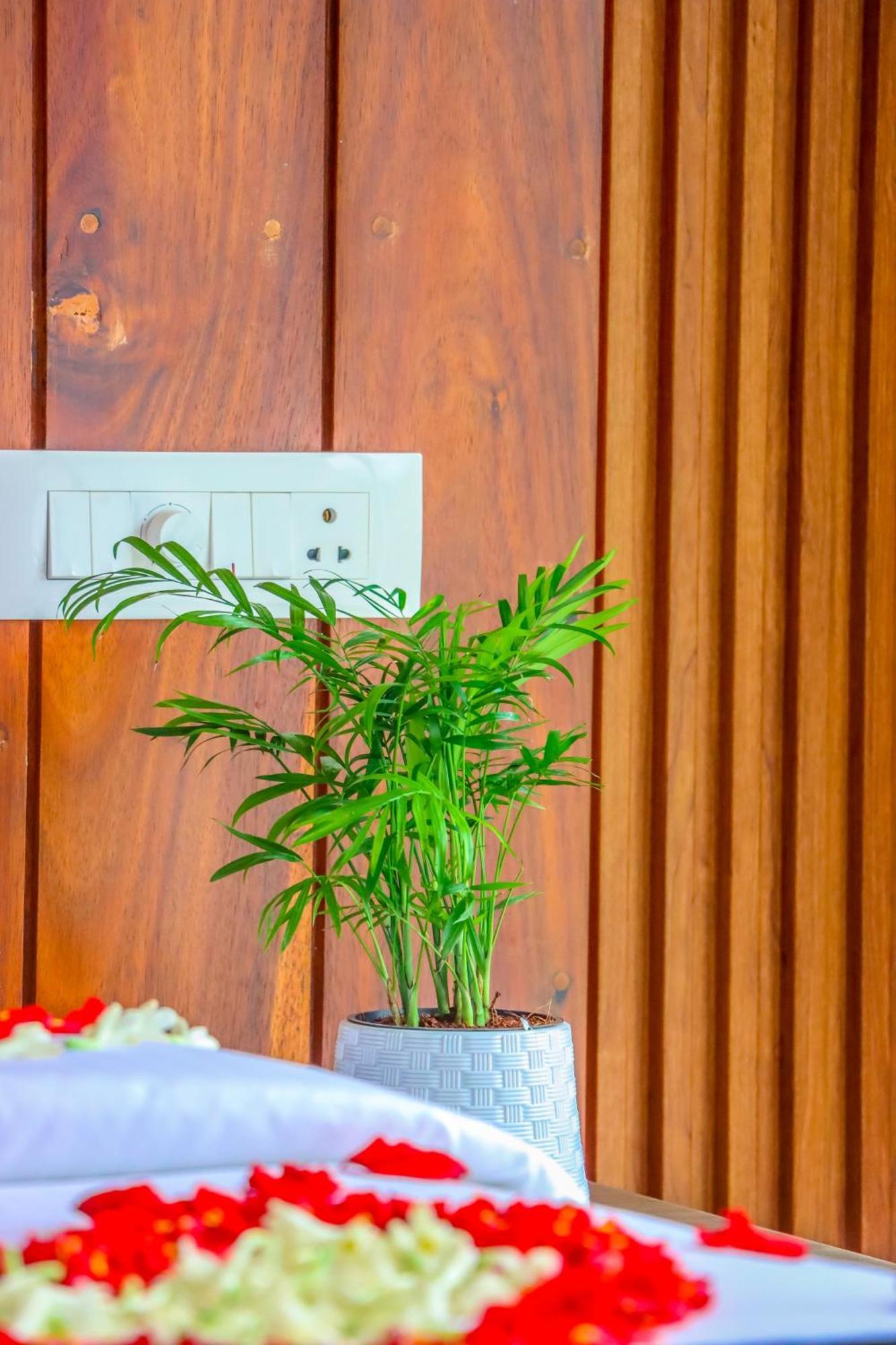 Winter Note Resorts Munnar Kültér fotó