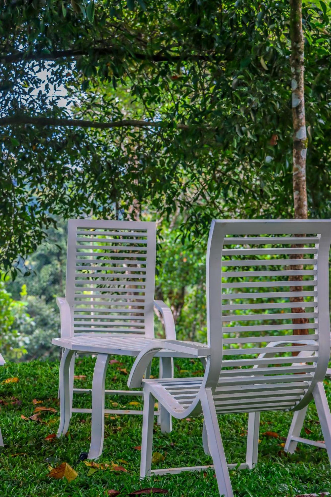 Winter Note Resorts Munnar Kültér fotó